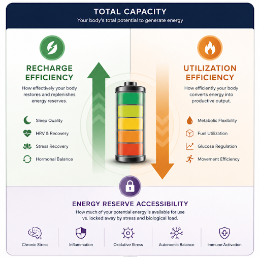 IT'S ENERGY.