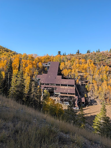 From Silver to Snow to a Longer Life